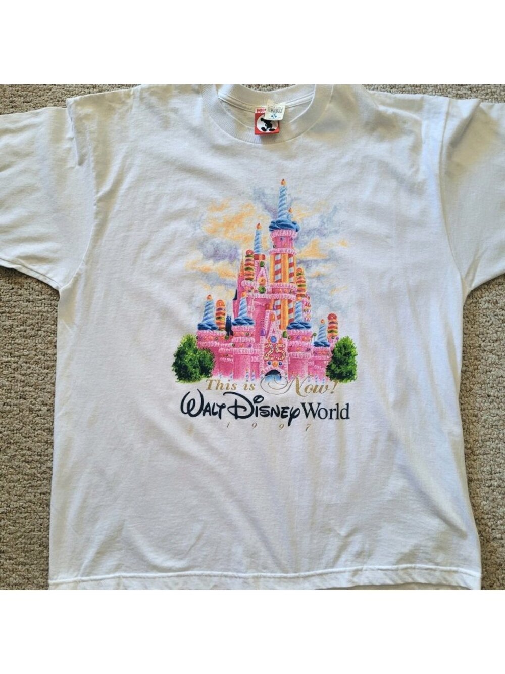 Vtg 1997 Disney World 25th That Was Then This Is Now Cake Castle Shirt  XXL NWT